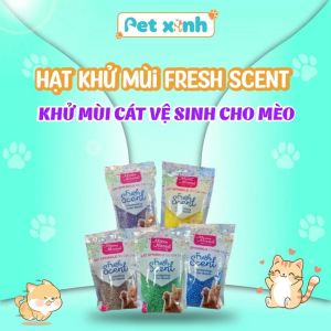 Hạt khử mùi cho mèo Fresh Scent với đa dạng mùi hương