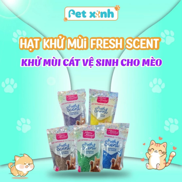 Hạt khử mùi cho mèo Fresh Scent với đa dạng mùi hương