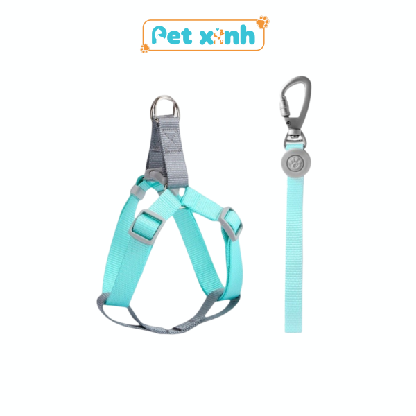 Dây dắt dạng yếm màu xanh