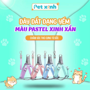 Dây dắt dạng yếm cho chó mèo