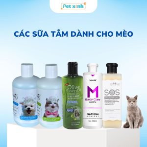 Các loại sữa tắm cho mèo