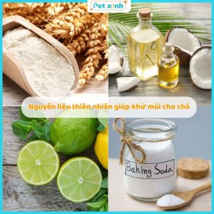 Nguyên liệu tự nhiên khử mùi
