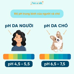 So sánh độ pH da người & pH da chó