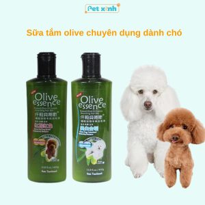 Sữa tắm olive