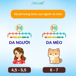 So sánh pH da người & da mèo