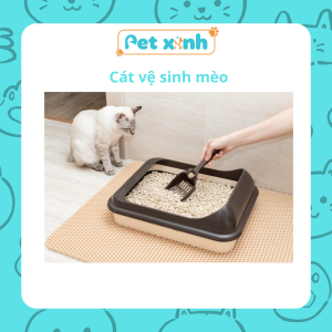Cát vệ sinh mèo