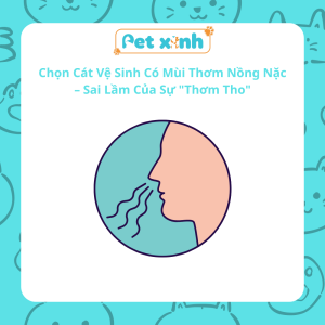 Cát Vệ Sinh Cho Mèo Con
