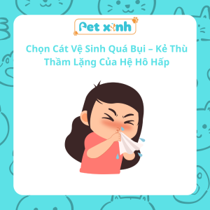 Cát Vệ Sinh Cho Mèo Con