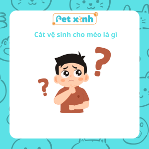 Cát vệ sinh cho mèo là gì Cát vệ sinh cho mèo là gì