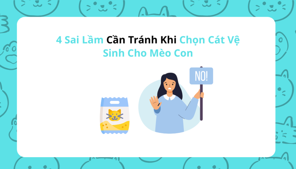 4 Sai Lầm Cần Tránh Khi Chọn Cát Vệ Sinh Cho Mèo Con