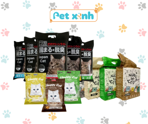 nhung loai cat
