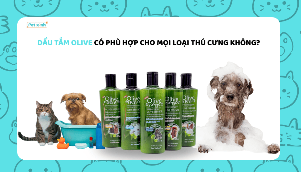 Dầu tắm Olive có phù hợp cho mọi loại thú cưng không?