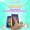Hạt Langlike