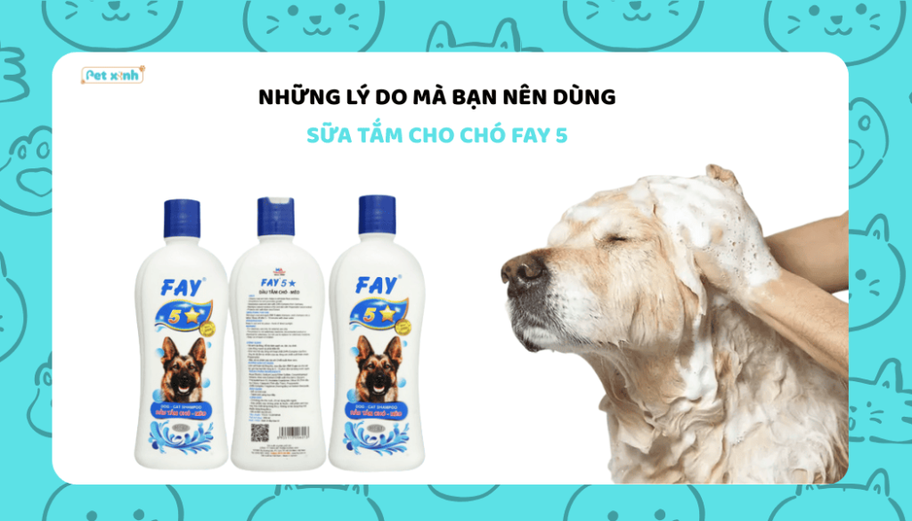 Những lý do mà bạn nên dùng sữa tắm cho chó Fay 5